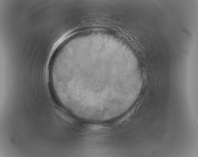 X0000115410246200912151547