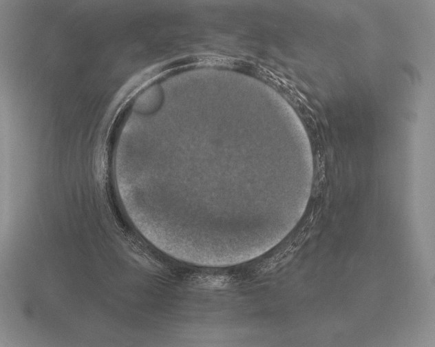 X0000115410247200912151547