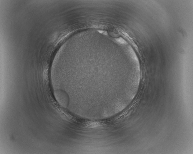 X0000115410249200912151547