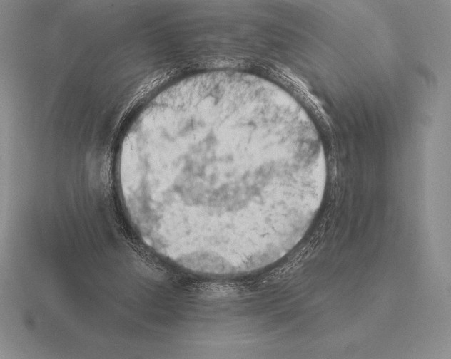 X0000115410250200912151547