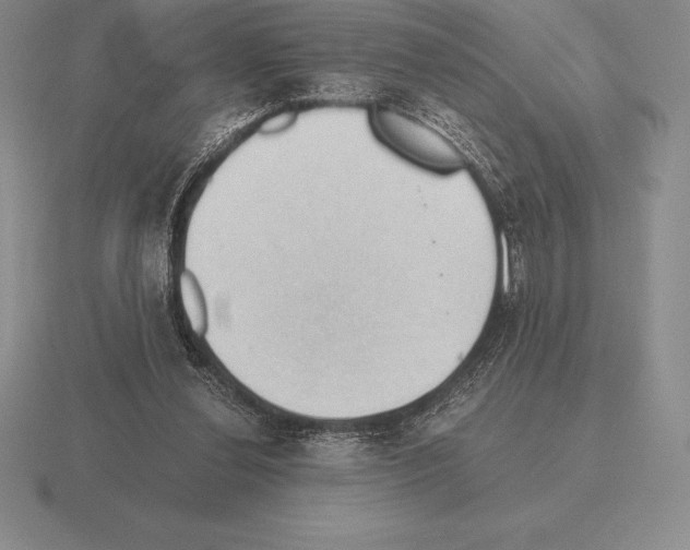 X0000115410252200912151547