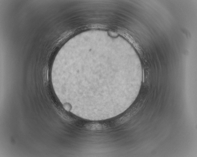 X0000115410253200912151548