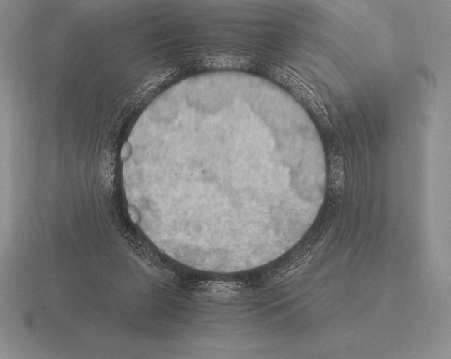 X0000115410255200912151548