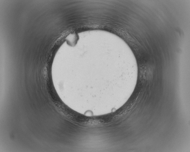 X0000115410256200912151548