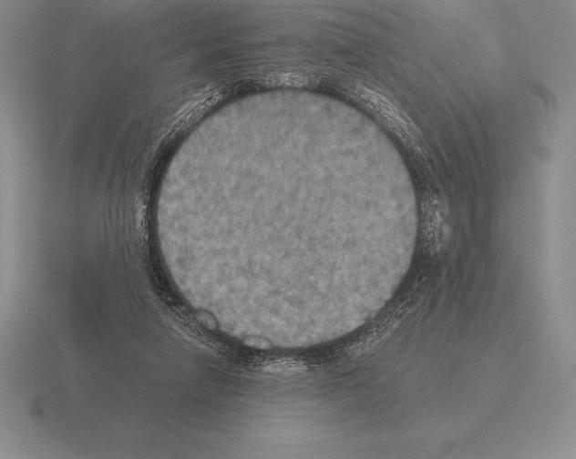 X0000115410258200912151548