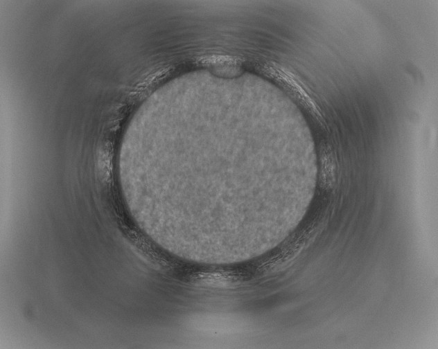 X0000115410259200912151548