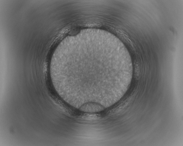 X0000115410260200912151548