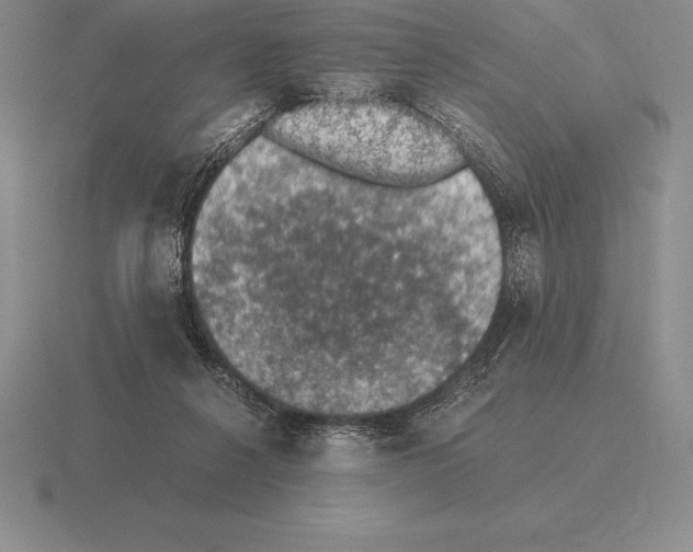 X0000115410264200912151548