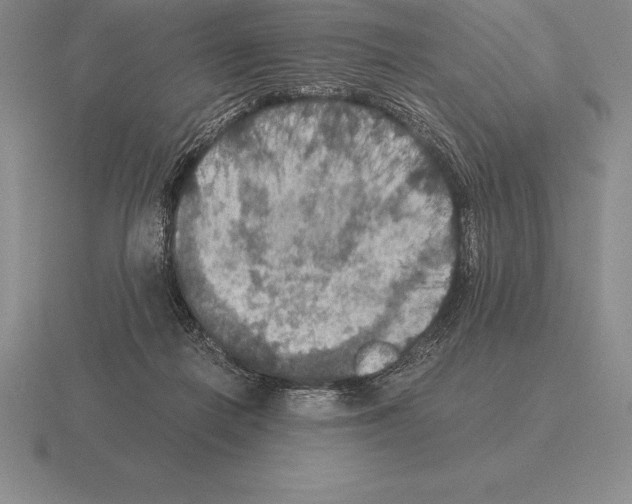 X0000115410266200912151548