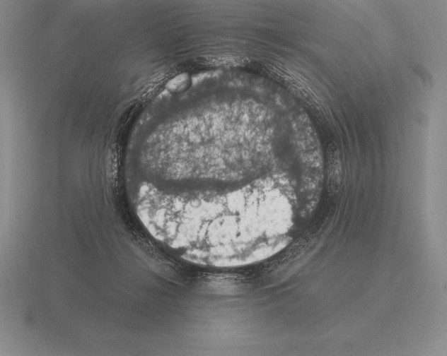 X0000115410268200912151548