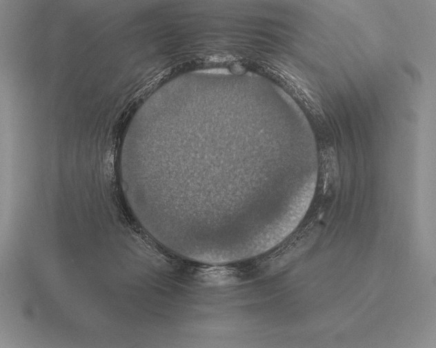 X0000115410269200912151548