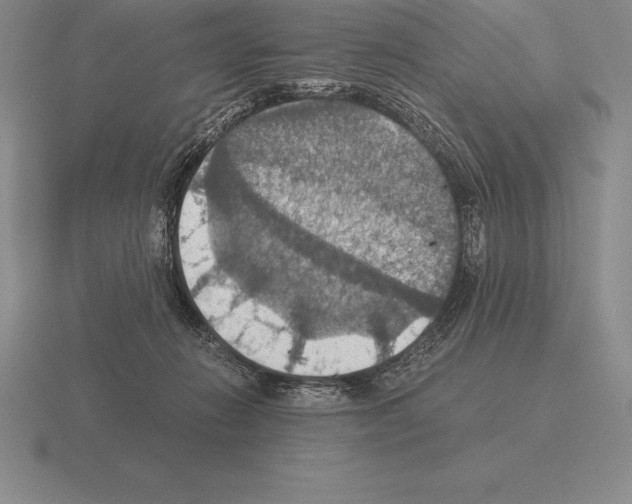 X0000115410270200912151548