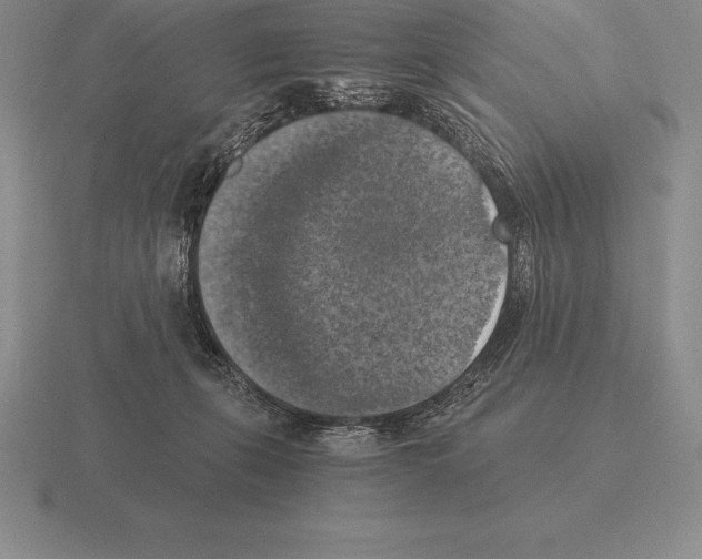 X0000115410271200912151548