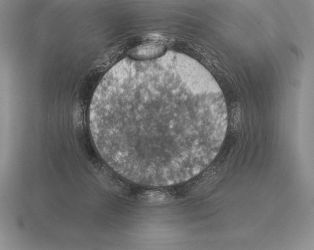 X0000115410272200912151548