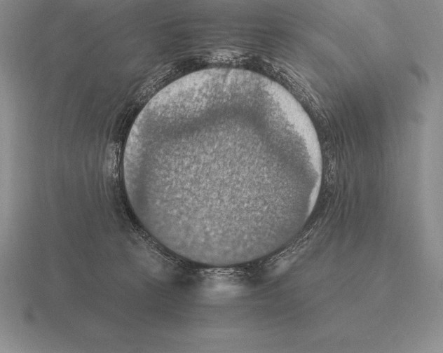 X0000115410273200912151548