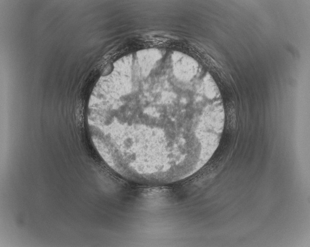 X0000115410274200912151548