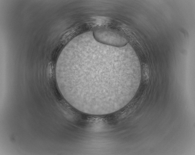 X0000115410276200912151548