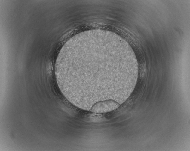 X0000115410279200912151548