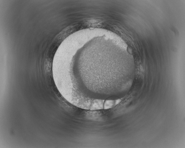 X0000115410281200912151548