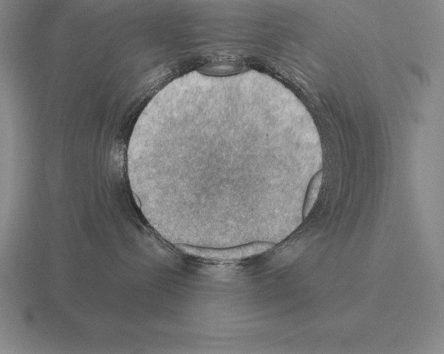 X0000115410288200912151548