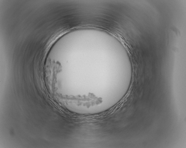 X0000115410289200912151547