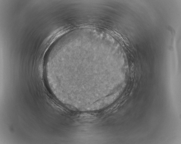 X0000115410290200912151547