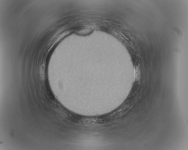 X0000115410291200912151547