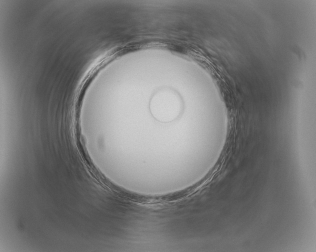 X0000115410293200912151547