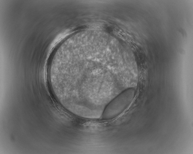 X0000115410294200912151547