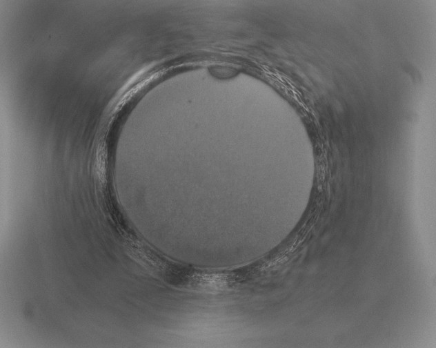 X0000115410295200912151547