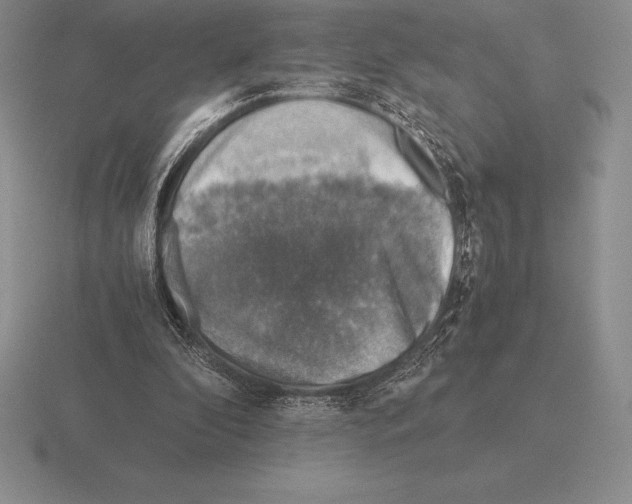 X0000115410296200912151547