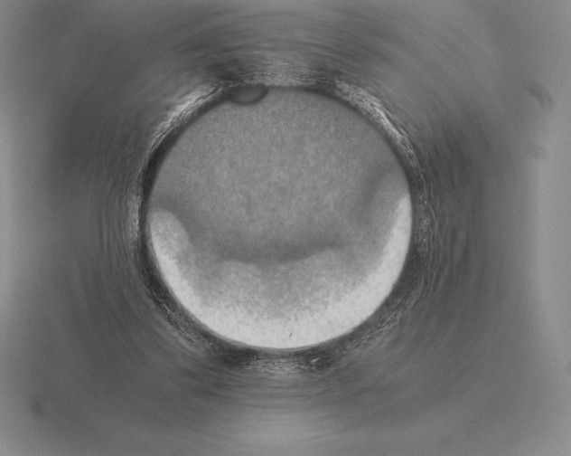 X0000115410299200912151547