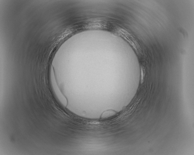 X0000115410301200912151547