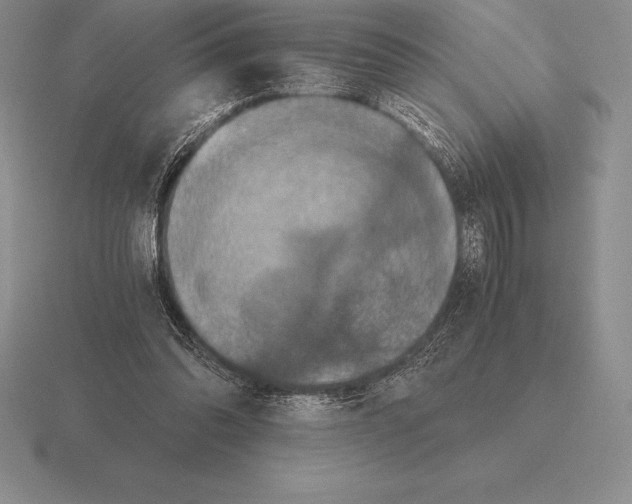 X0000115410302200912151547