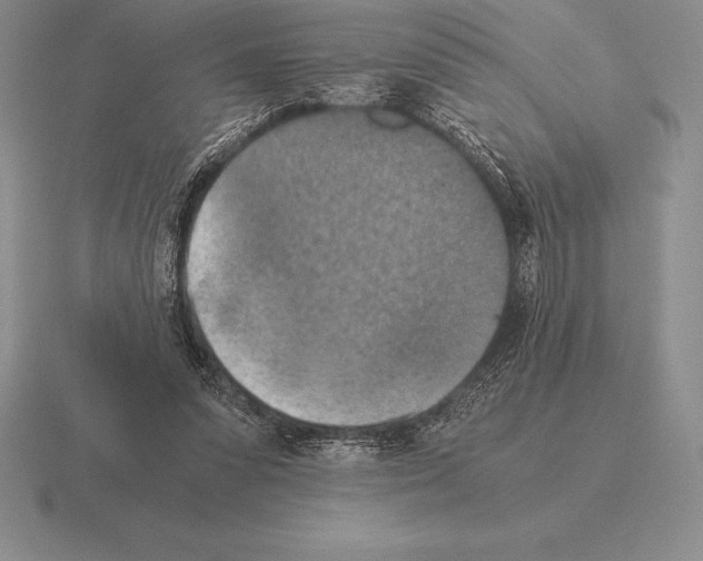 X0000115410303200912151547