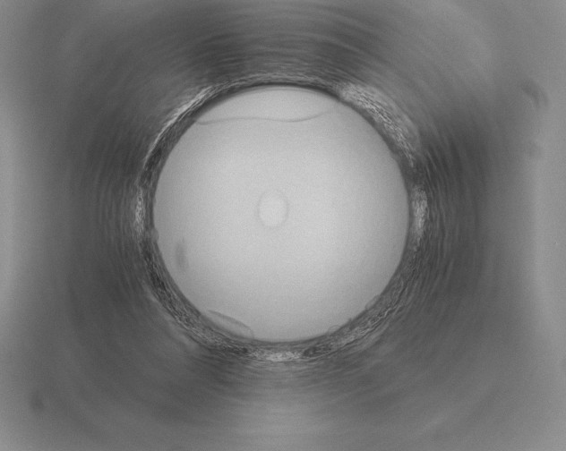 X0000115410304200912151547