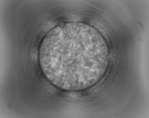 X0000115410305200912151547