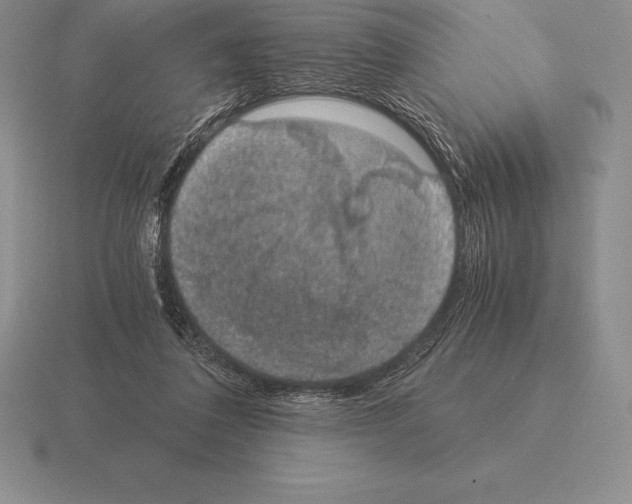 X0000115410308200912151547