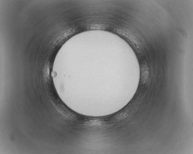 X0000115410310200912151547