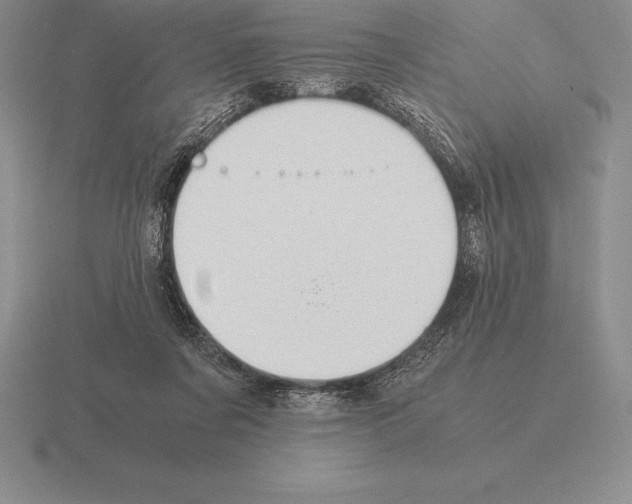 X0000115410311200912151547