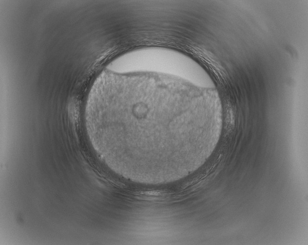 X0000115410312200912151547