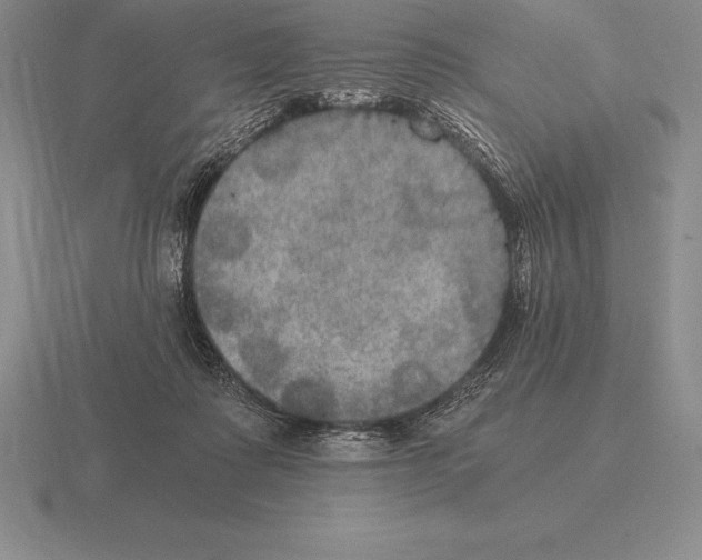 X0000115410315200912151547