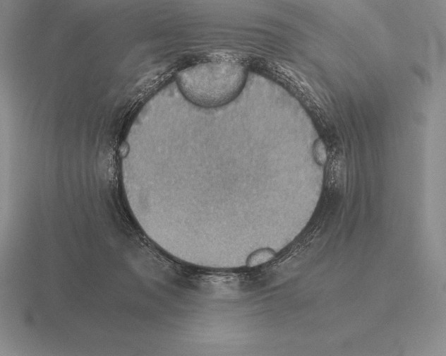 X0000115410317200912151547