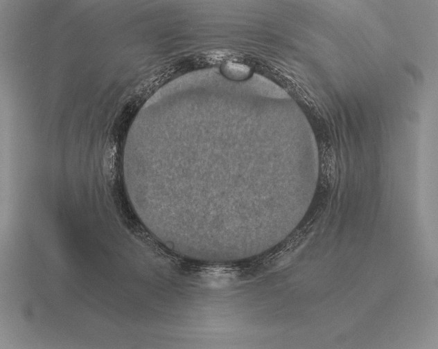 X0000115410319200912151547