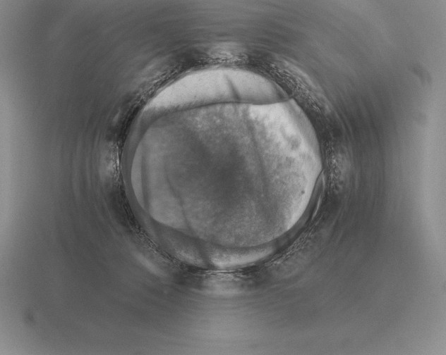 X0000115410320200912151547