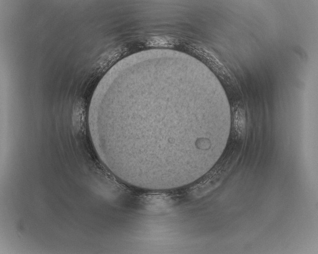 X0000115410322200912151547