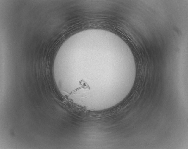 X0000115410324200912151547