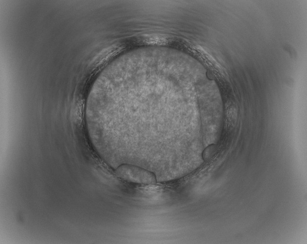 X0000115410325200912151547