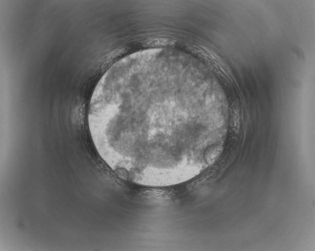 X0000115410326200912151547