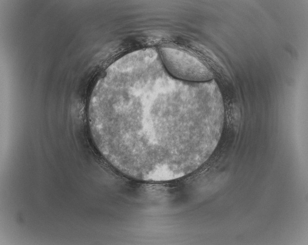 X0000115410327200912151547